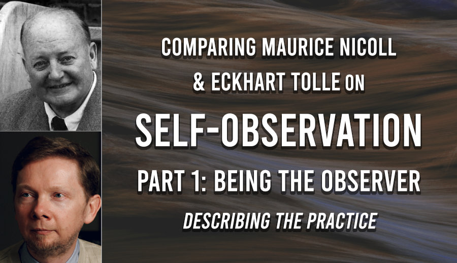 Self-Observation: Being the Observer Featured Image